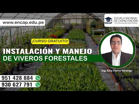 CURSO: INSTALACIÓN Y MANEJO DE VIVEROS FORESTALES - 2025
