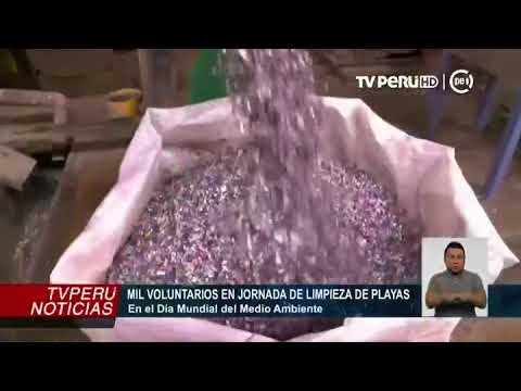 Actividades en el marco del Día del Medio Ambiente (Canal 7)