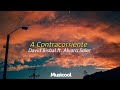 A Contracorriente | David Bisbal ft. Alvaro Soler | Soy caminante en camisa tejana.. 🌅(Letra/Lyrics)