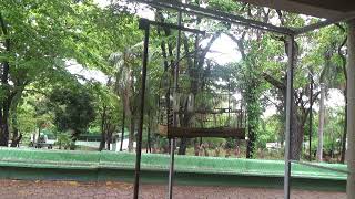 CAMPEONATO ESTADUAL FEBRAPS 2025 - 5a. ETAPA - PRESIDENTE PRUDENTE - SP - REG 1