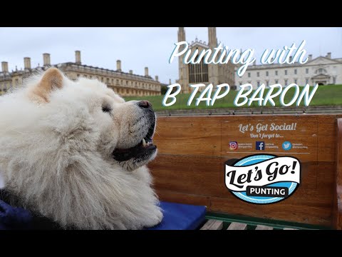 B.Tap Baron video.