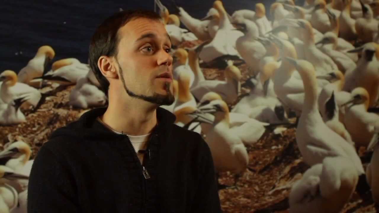 Percé l'Incontournable - Vincent Landry - Agent de Concertation, CRÉGÎM