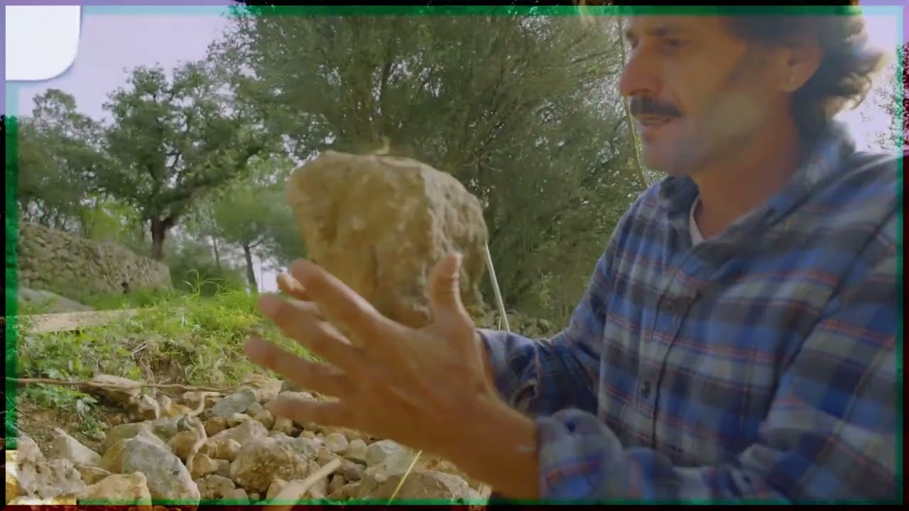 La pedra en sec: arquitectura viva del paisatge rural