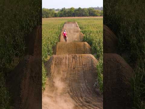 Ryan Dungey in a CORN FIELD