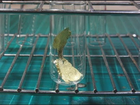 Aqua Regia Dissolves Gold Foil - Making Gold Nanoparticles - Lu Le Laboratory