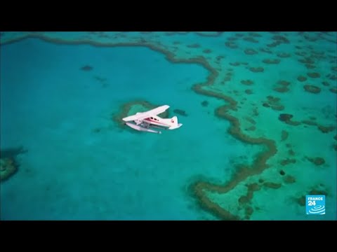 Great Barrier Reef "in danger" for UNESCO, Australia ready to challenge