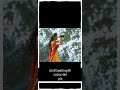 90s Highlights Favourite Movie Jj WhatsApp Status Tamil