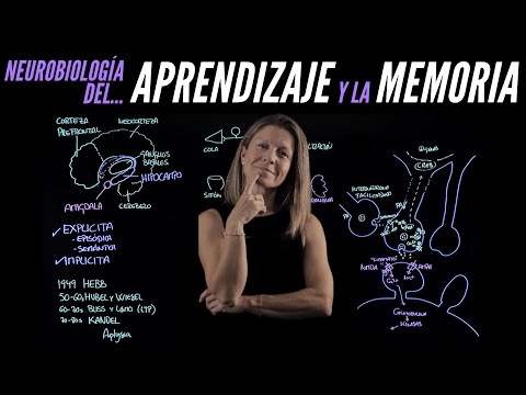 Neurobiology of Learning and Memory