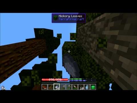 Terrafirma Punk Ep. 1 Get Rocks and Sticks