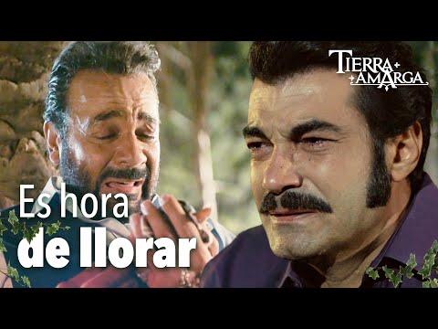 Lloraron fuerte tras la muerte de Hünkar - Capítulo 225