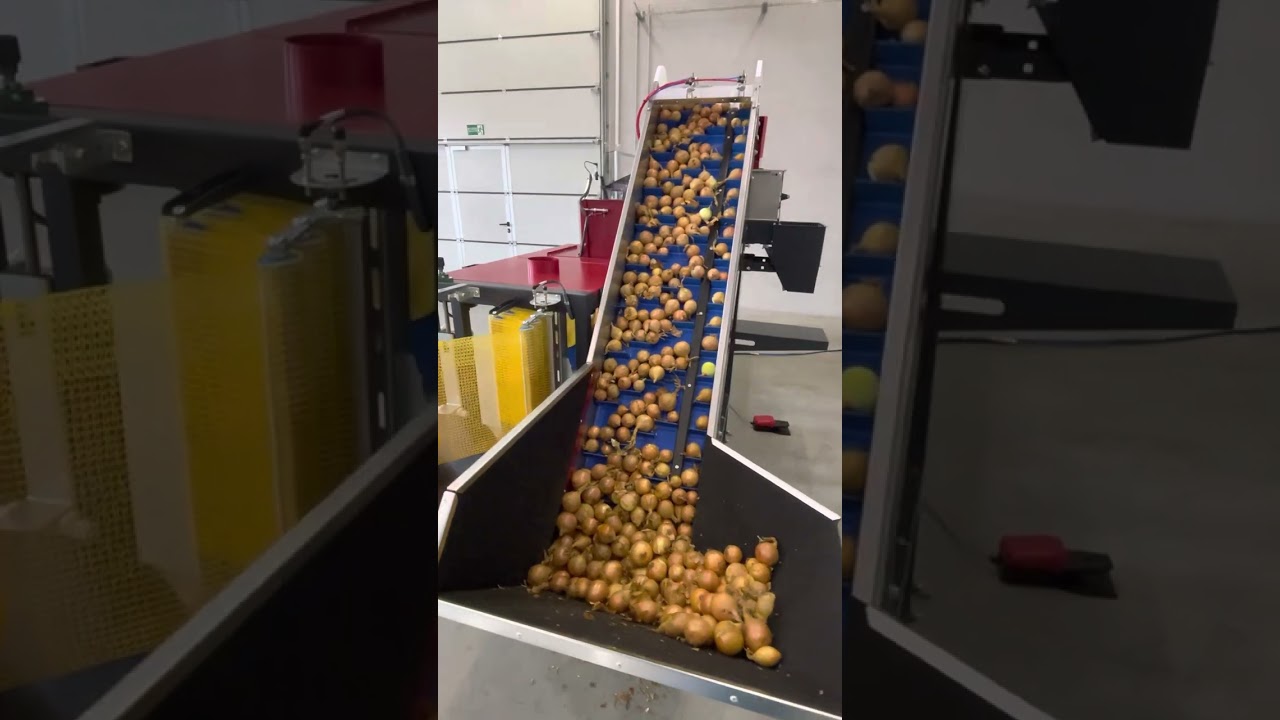 @SORPAC multi-machine AWRM02, weighing-packing machine - wago-raszlownica