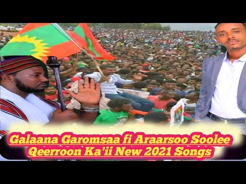 New Oromo Music 2021 Galaana Garomsaa fi Araarsoo Soolee Qeerroon Ka'ii New 2021 Songs