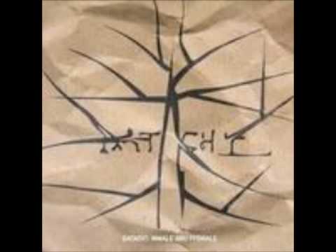 Datach'i- Dust and Scratch