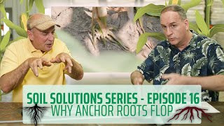 Soil Solutions Series | Ep. 16 | Anchor Roots Flop in Compacted Soils #soilhealth #planthealth