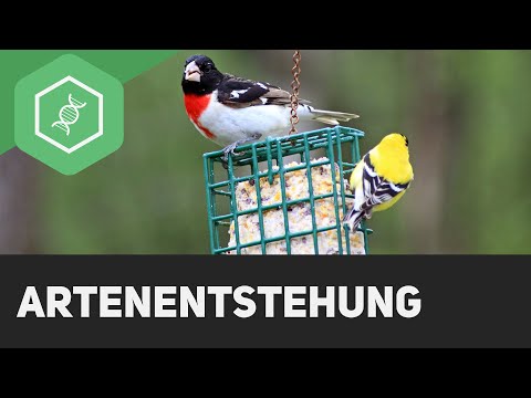 Species establishment