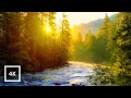 Golden Sunrise on Merced River, Yosemite | 4K Relaxing Nature Scene | Relaxing River Sounds | 6 Hour