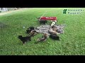 German Shepherd dogs for sale: Crystal - Video 1