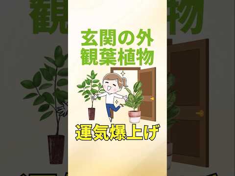 élément Métal jardin Feng Shui plante hosta