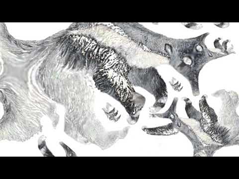 Koza - PATOLOGYA (prod. Jordan)