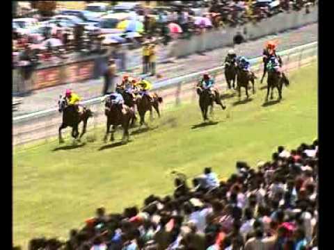 DAY 24 RACE 3 - A QUIET RUSH - Geroudis