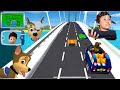 Paw Patrol Game With Chase Paw Patrol MEAL TIME CAR RACE PLAYGROUND Night Time Routine