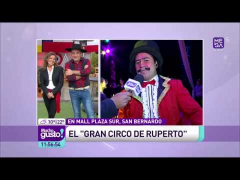 ¡Ruperto se desordenó! - Mucho Gusto