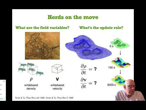 Toner-Tu theory intro