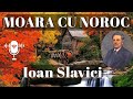 Moara Cu Noroc Ioan Slavici Carte Audio Toate Capitolele 1 17