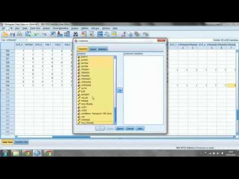 SPSS Tutorial 1 (Coding with SPSS)
