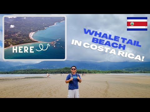 Visitando o Parque Nacional Marino Ballena | Praia única em Uvita, Costa Rica