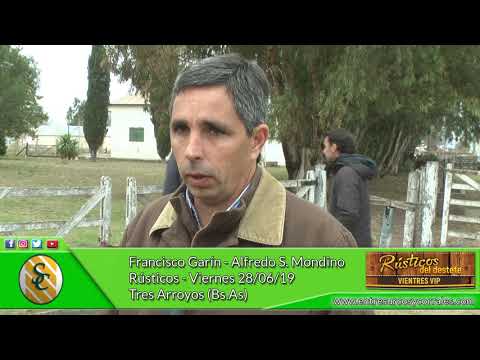 28-06-19 - Francisco Garín - Alfredo S. Mondino - RUSTICOS - Tres Arroyos