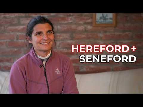 REMATE HEREFORD CON SELLO SANTAFESINO - Cabaña La Yunta, Galvez Santa Fe