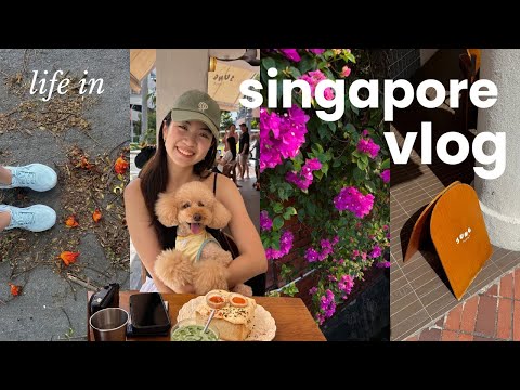a week of romanticising life in singapore 💌 📹 (a video diary of a girl in her 20s)