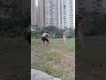Flip Flipper Viral Video Acha Song