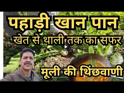 The Soul of the Himalayas: Mooli Ki Thinchwani - A Culinary Journey from Garden to Chulha