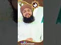 Muhammad Nabina Hafiz Tahir Qadri