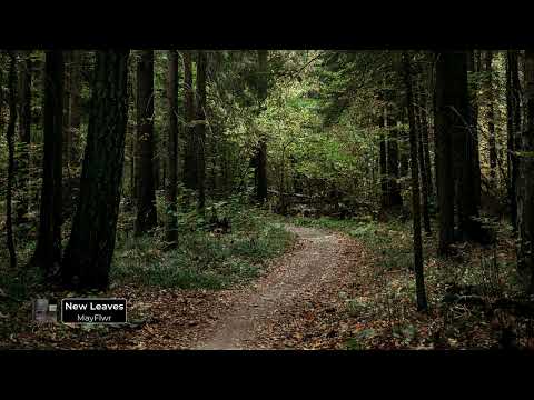 MayFlwr – New Leaves – CHOSEN MUSIC