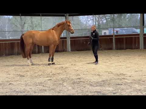 Bernadette Brune’s Bodenarbeit First Step (Teil 1)