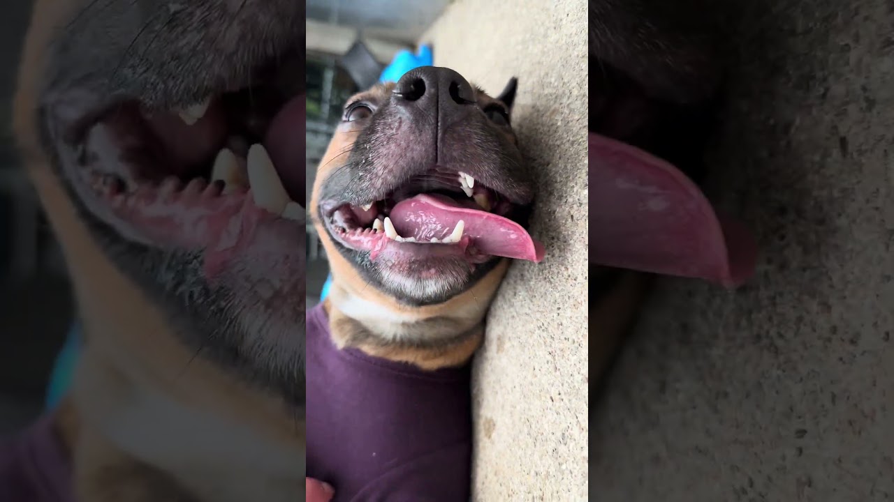 Kerri video preview