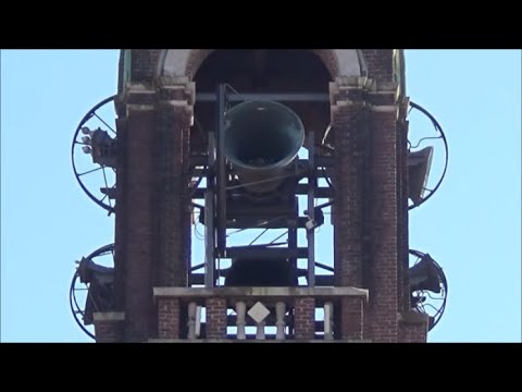 Campane di Villa Cortese (MI) - Distesa Completa