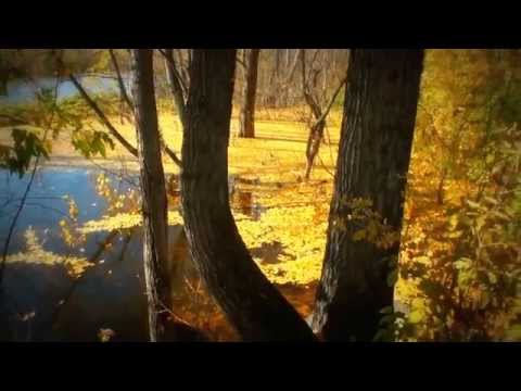 Грустная осень (sad fall)