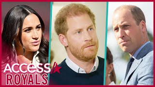 Prince Harry Says Prince William Aired 'Concerns' About Meghan Markle Relationship