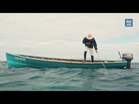 Bruno Raya | Bann Peser