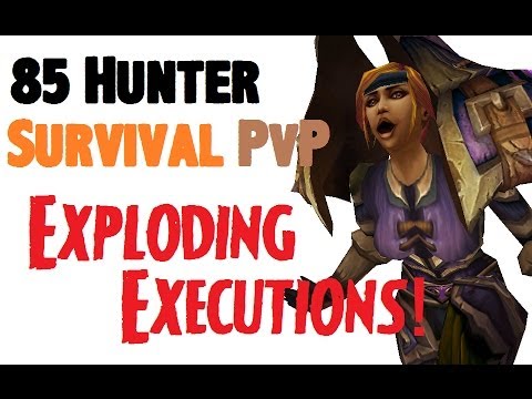 Aquilliah - Level 85 Survival Hunter Twink PvP - MoP Patch 5.4.2