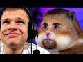 If I Laugh I Lose Viewer Suggested Videos