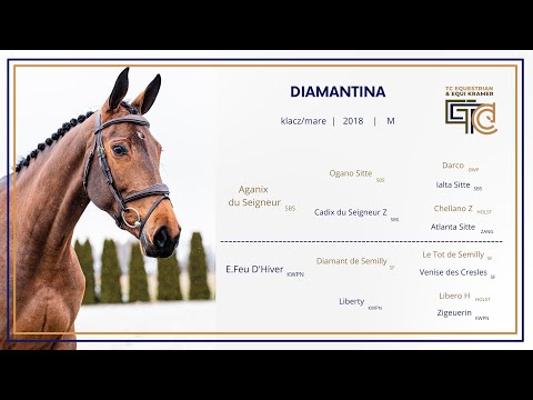 Nr 6, Diamantina, (Aganix du Seigneur x Diamant de Semilly), klacz/mare, born/ur. 2018