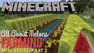 All About Growing Melons in Minecraft, Part 2