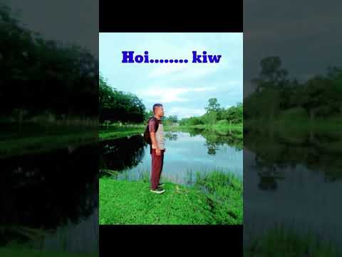 Rock on 2 lyrics video (Hoi kiw)........ cover music by Rock on 2