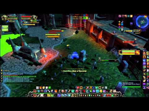 WoW PvP - Double BM Hunter vs Hunter Rogue Arena 2v2 - Hitmanblood