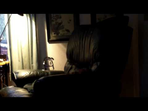 CAT CHATTERS AT BIRDS OUTSIDE